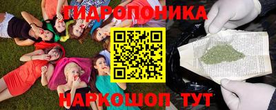 гидра Краснознаменск