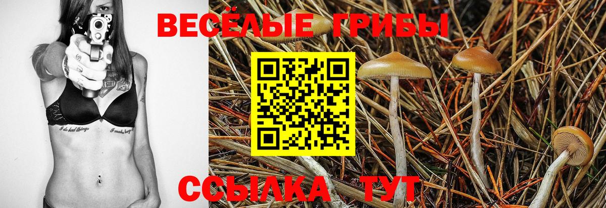 Чусовой  Галлюциногенные грибы прущие грибы  Галлюциногенные грибы прущие грибы  Вход с VPN 