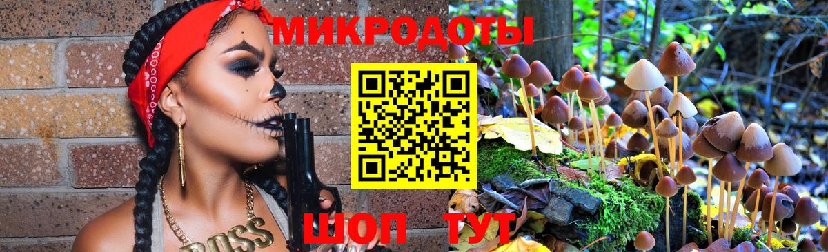 Псилоцибиновые грибы Psilocybine cubensis Чусовой